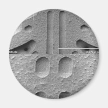 Snowflake Magnification Series Refrigerator Magnet