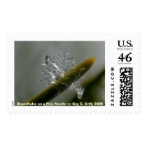 Snowflake on a Pine Needle postage by guycrilly Snowflake on a Pine Needle postage