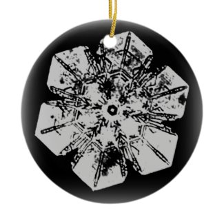 Snowflake Ornament 1 ornament