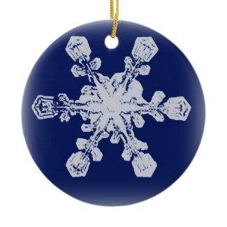 Snowflake Ornament 10 ornament