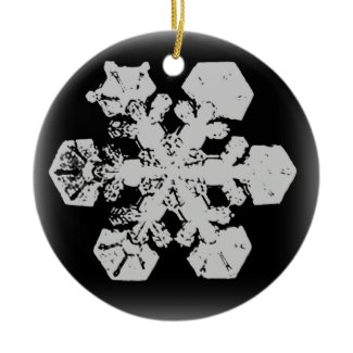 Snowflake Ornament 3 ornament
