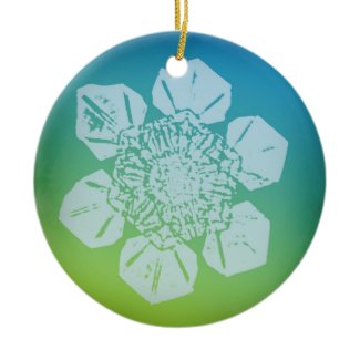 Snowflake Ornament 5 ornament