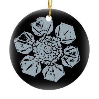 Snowflake Ornament 9 ornament