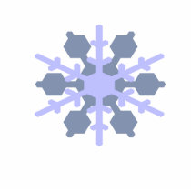 Snowflake Ornament photo sculptures