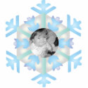 Snowflake Photo Personalized Christmas Ornament photo sculptures
