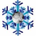 Snowflake Photo Personalized Christmas Ornament photo sculptures