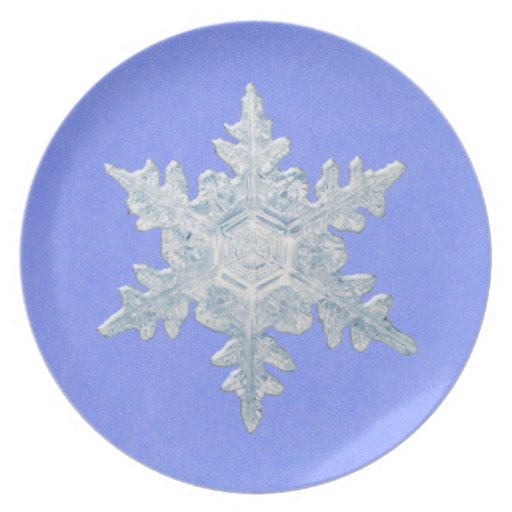 Snowflake Dinner Plates
