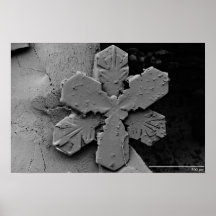 Snowflake Poster