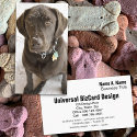 Snowflake Sprinkled Chocolate Labrador Retriever profilecard