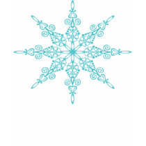 Snowflake T-Shirt - Customized