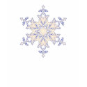 Snowflake t-shirts