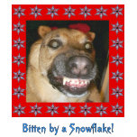 Snowflake Zombie Dog, Bitten by a Snowflake!