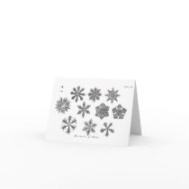 Snowflakes -- 1791 cards