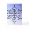 snowflakes cards by mylyfesunshine snowflakes cards