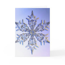 snowflakes cards by mylyfesunshine snowflakes cards