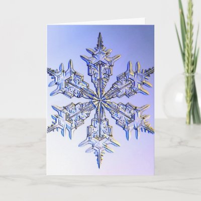 snowflakes cards