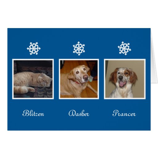 Snowflakes Hanukkah holiday story custom photo Greeting Card