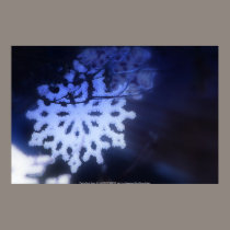 snowflakes in blue 3 posters