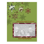 Snowflakes in the WILD Postcard
