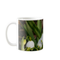 Snowflakes (Leucojum Aestivum) Coffee Mugs