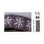 Snowflakes postage