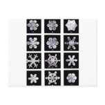 Snowflakes Post Cards