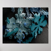 Snowflakes Poster