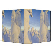 Snowghosts at sunset at Whitefish Mountain Binder