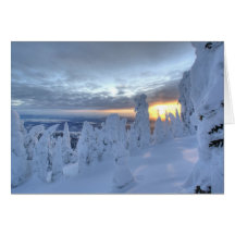 Snowghosts at sunset at Whitefish Mountain Greeting Cards
