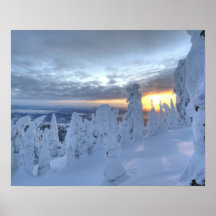 Snowghosts at sunset at Whitefish Mountain Poster