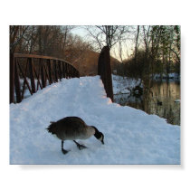 Snowgoose on the Bridge posters by wantmycatslife Snowgoose on the Bridge posters