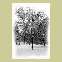 Snowing in the park posters