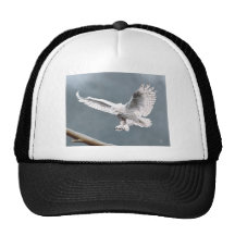 Snowings Mesh Hat