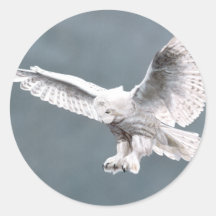 Snowings Sticker