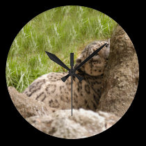 SnowLeopardBCR001 wall clocks