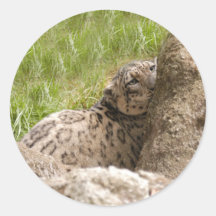 SnowLeopardBCR001 Stickers