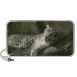 SnowLeopardBCR003 iPhone Speakers