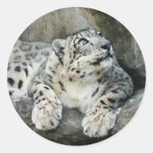 SnowLeopardBCR005 Sticker