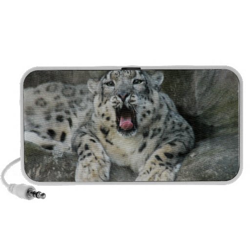 SnowLeopardBCR007 Laptop Speakers