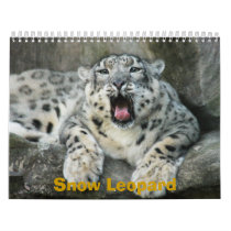 SnowLeopardBCR007, Snow Leopard calendars by NatureByDesign SnowLeopardBCR007, Snow Leopard calendars