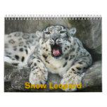 SnowLeopardBCR007, Snow Leopard Calendars
