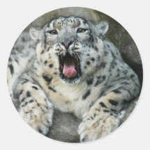 SnowLeopardBCR007 Stickers