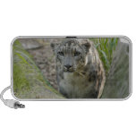 SnowLeopardBCR012 iPhone Speaker