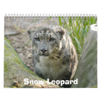 SnowLeopardBCR012, Snow Leopard Calendars