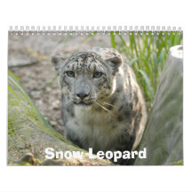 SnowLeopardBCR012, Snow Leopard Calendars