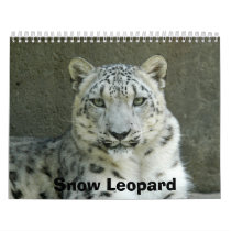 SnowLeopardM002, Snow Leopard Wall Calendar