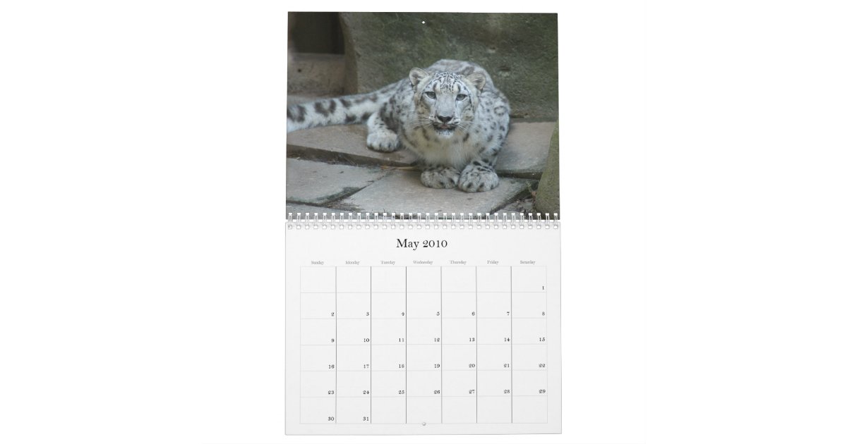 SnowLeopardM002, Snow Leopard Calendar | Zazzle