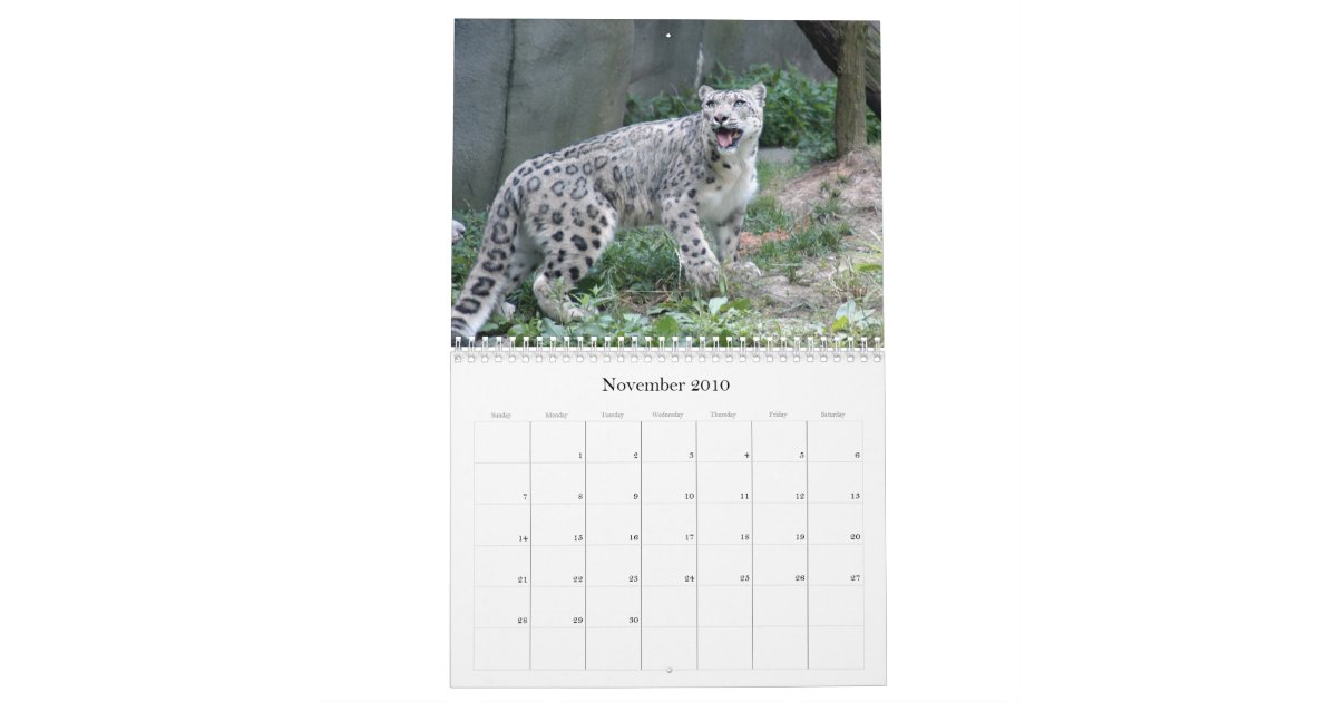 SnowLeopardM002, Snow Leopard Calendar Zazzle
