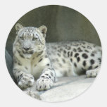 SnowLeopardM003 Round Sticker