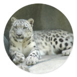 SnowLeopardM003 Round Sticker